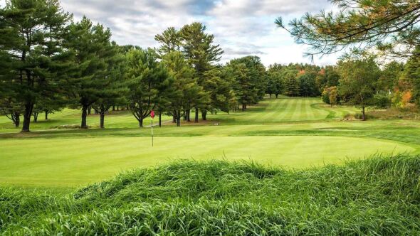 Springbrook
